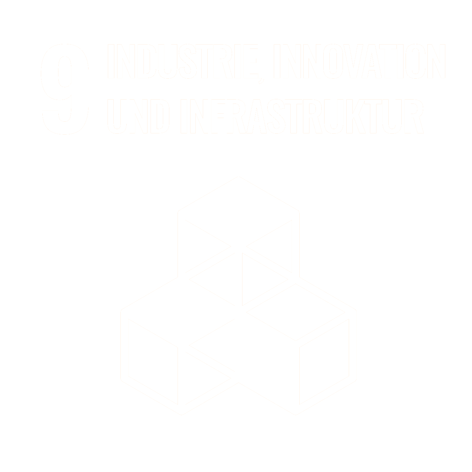 Industrie-Innovation und Infrastuktur