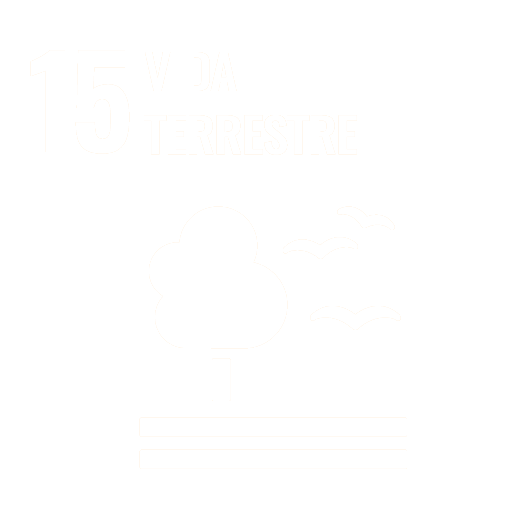 Vida no Ecossistema Terrestre