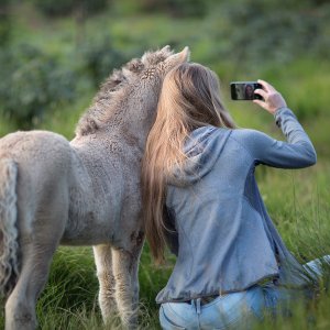 Why you shouldn't take selfies with wild animals