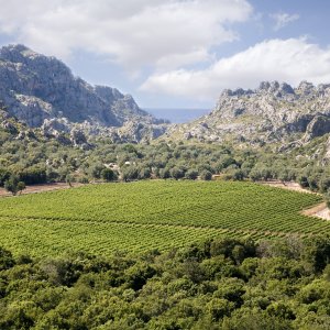 Escorca: deporte para conservar el territorio