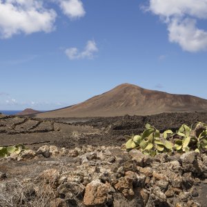 Voluntariado en Lanzarote: la continuidad del legado de César Manrique