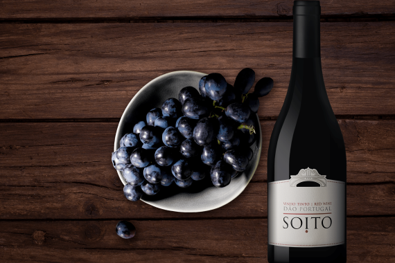 Soito Wines