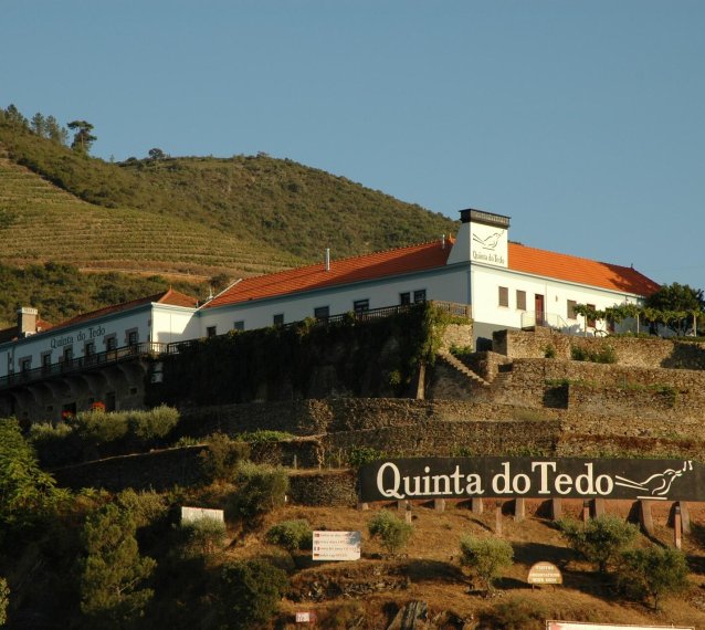 Quinta do Tedo