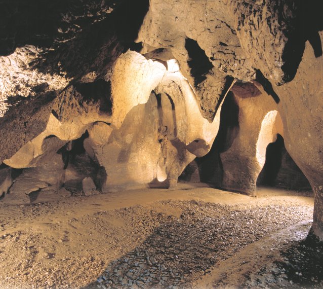 Museu de Moià-Parc Prehistòric de les Coves del Toll