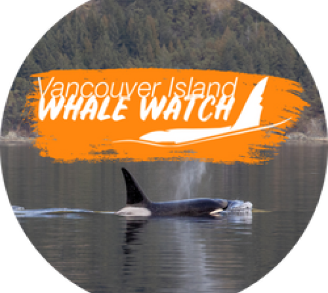 Vancouver Island Whale Watch