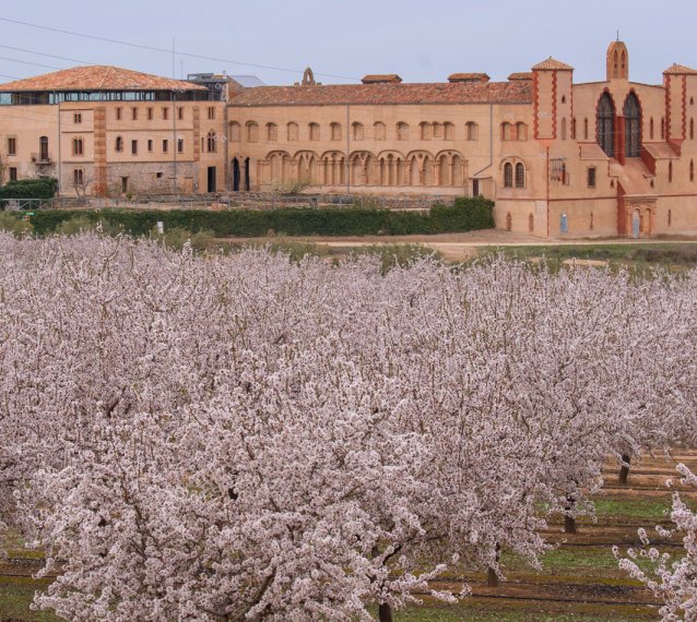 Mas de Colom - Casa Borges