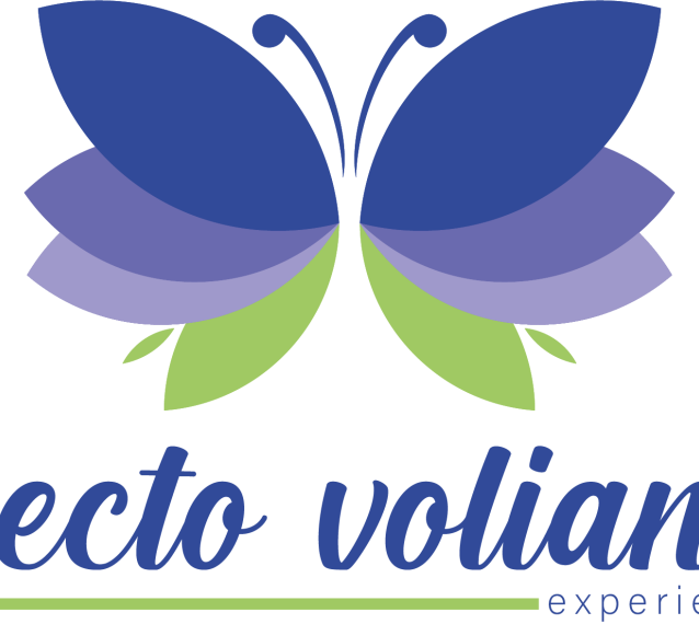 EFECTO VOLIANA EXPERIENCES