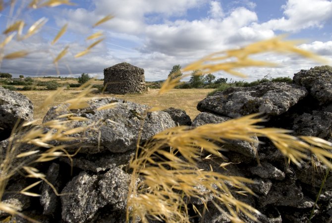 Reserva da Biosfera Transfronteiriça Meseta Ibérica