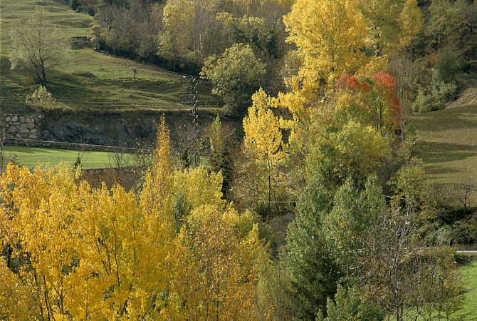 Sant Julià de Lòria