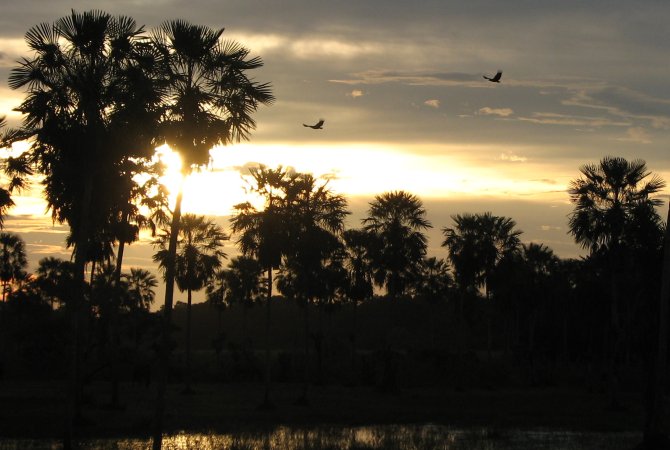 Rurrenabaque Madidi Pampas