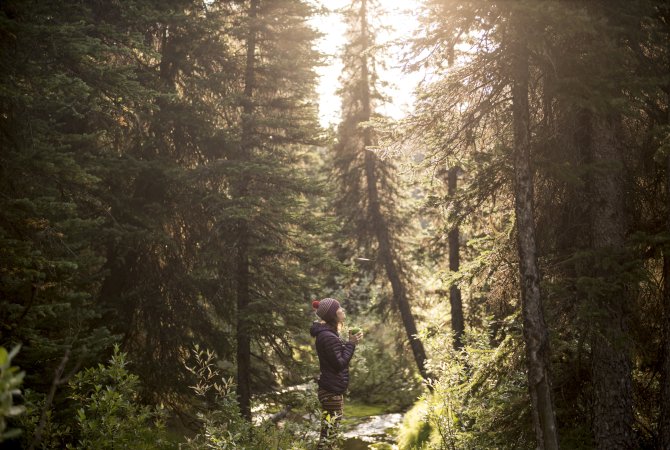 Kootenay Rockies Tourism Association