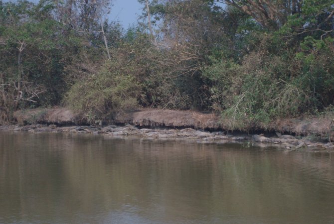 Rurrenabaque Madidi Pampas