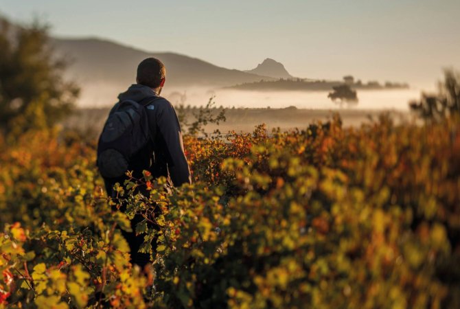 Rioja Alavesa