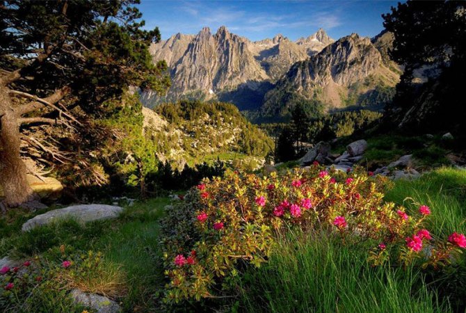 El Pirineo y las Tierras de Lleida